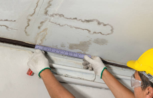 Reliable Water Damage contractor in Savoy, IL by Water Damage Irwin
